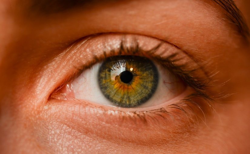 Oczy to ekstrawagancki narząd. To naturalnie dzięki nim odczuwamy.